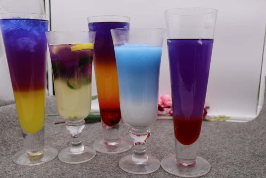 重庆泰国蝶豆花培训